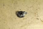 S214496-155a 1986 Goldwing Speedometer Gear Gl1200 1200 Honda Speedo 86