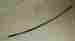 34910-27030-oem 34910-27030 Suzuki Nos 1971-73 Mt50 Speedometer Cable P N 2999