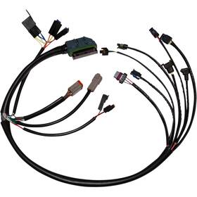 Nhd-70233-02 Namz 2120-1019 Complete Efi Wiring Harness