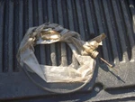 New Nos Oem Yamaha Speedometer Cable 5H0-83550-00 For SR185 Exciter. Fixed Price $20.00.