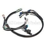 Namz For 02-03 V-twin Dresser Models Only Oem Complete Efi Harness. Fixed Price $384.20.