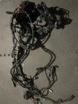 2018-2020 Harley Davidson Street Fat Bob Slim Low Rider Main Wiring Harness. Fixed Price $250.00.