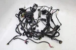 2009 Bmw G450X Oem Main Engine Wiring Harness Motor Wire Loom. Fixed Price $309.40.