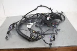Harley Davidson 69200444 Wire Harness Bundle Loom Wiring Dyna. Fixed Price $93.49.